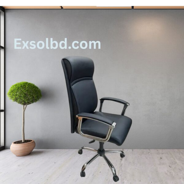 Director Chair [ES-C-01]
